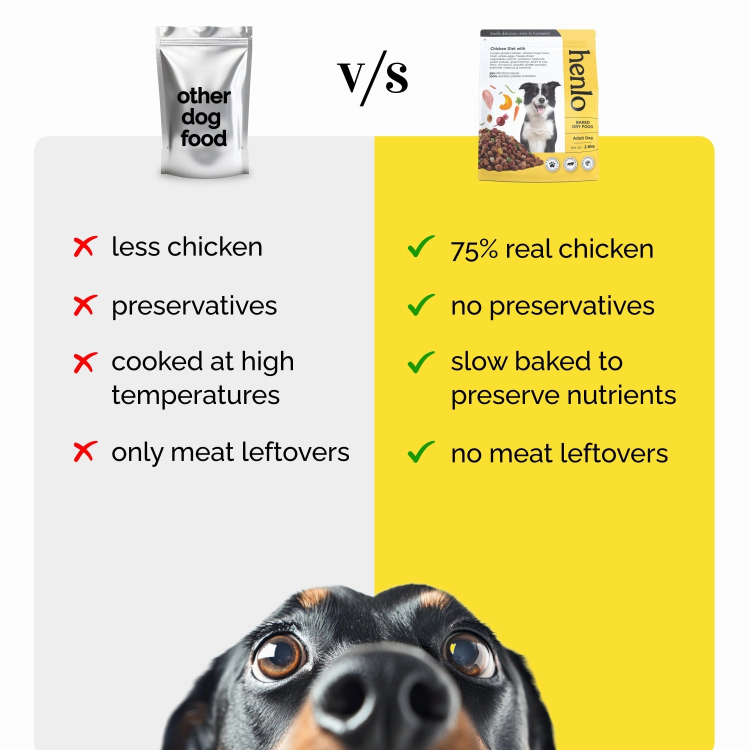 Essential Puppy Starter Pack (212 Months) Food, Treat and Collar