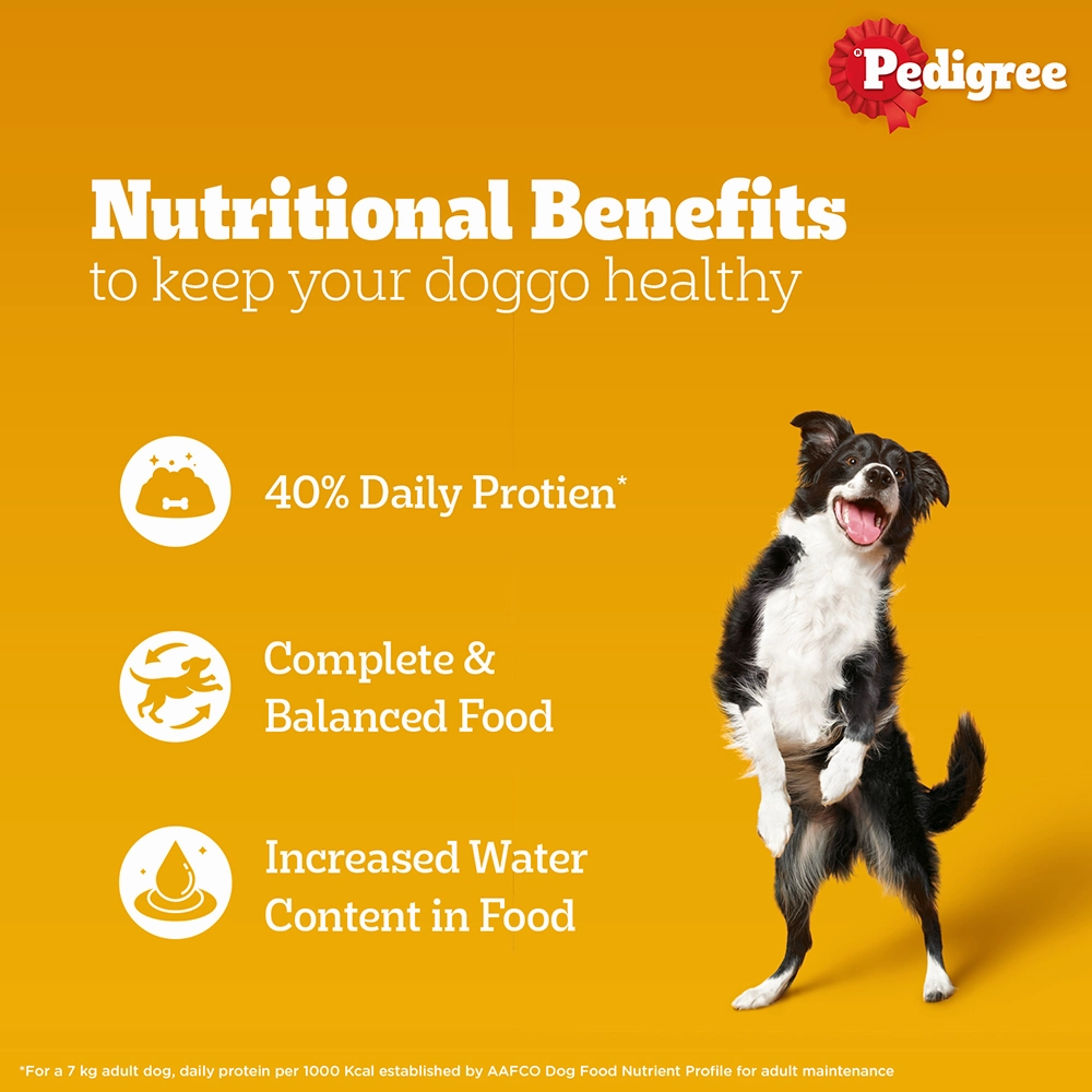 Essential Puppy Starter Pack (212 Months) Food, Treat and Collar
