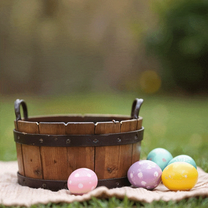 Fancy Felines Easter Delight Treats Combo for Cats