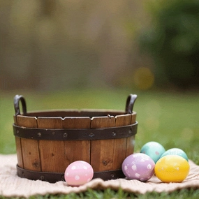 Fancy Felines Easter Delight Treats Combo for Cats