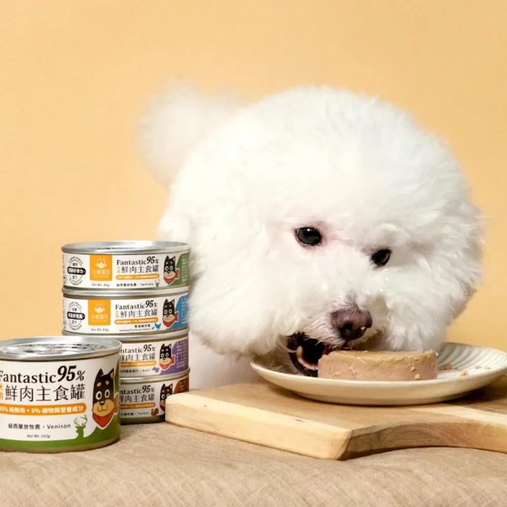 Fantastic 95% - Softshell Turtle & Chicken Complete Balanced Dog Can