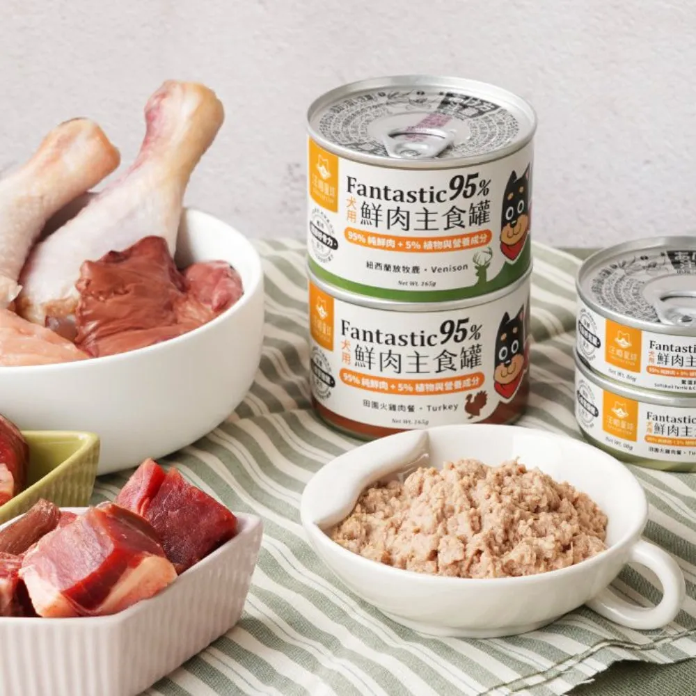 Fantastic 95% - Softshell Turtle & Chicken Complete Balanced Dog Can