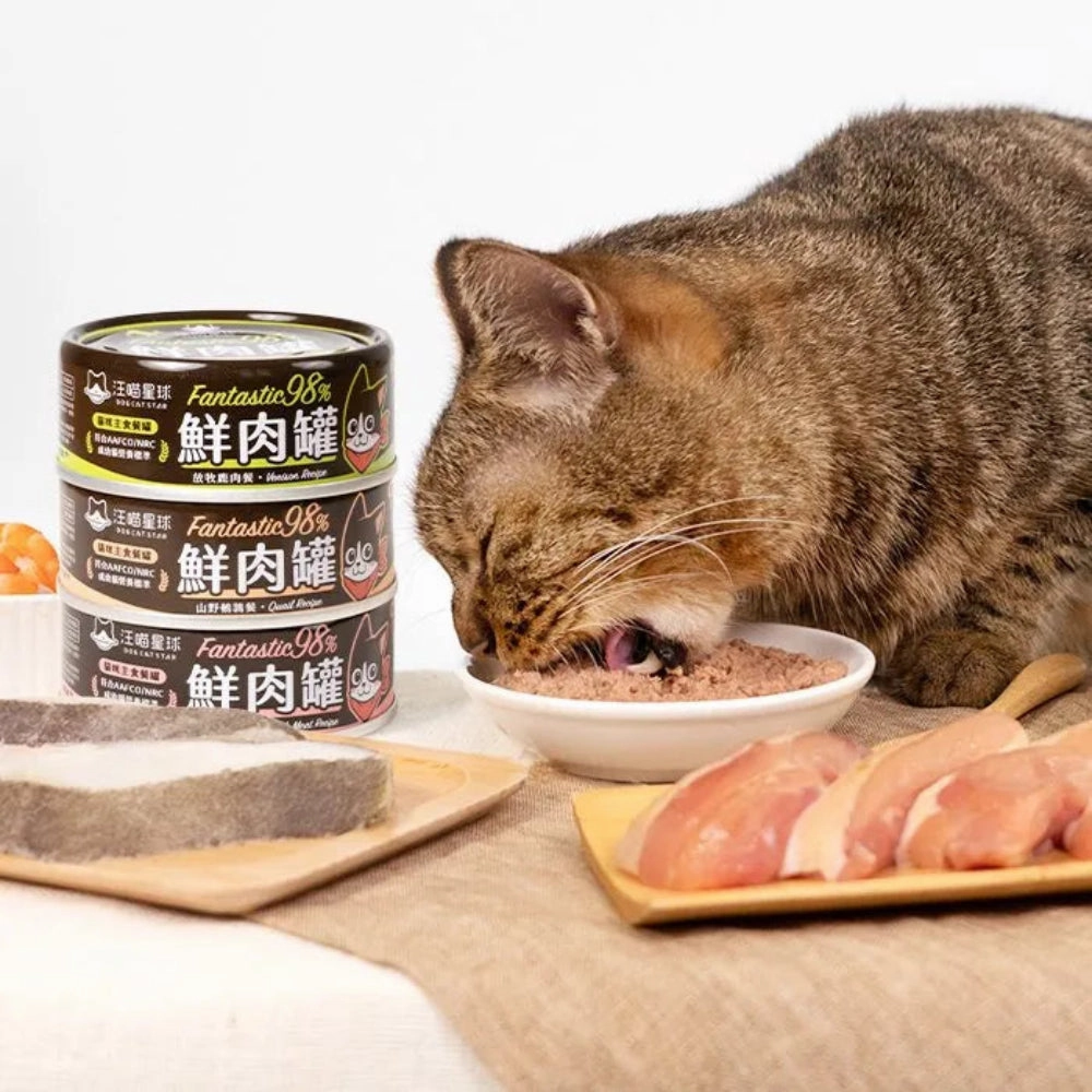 Fantastic 98% - Hypoallergenic Duck Meat Complete Balanced Cat Can