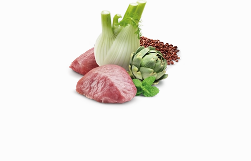 Farmina N&D Quinoa Functional Canine Digestion Lamb Canned Dog food