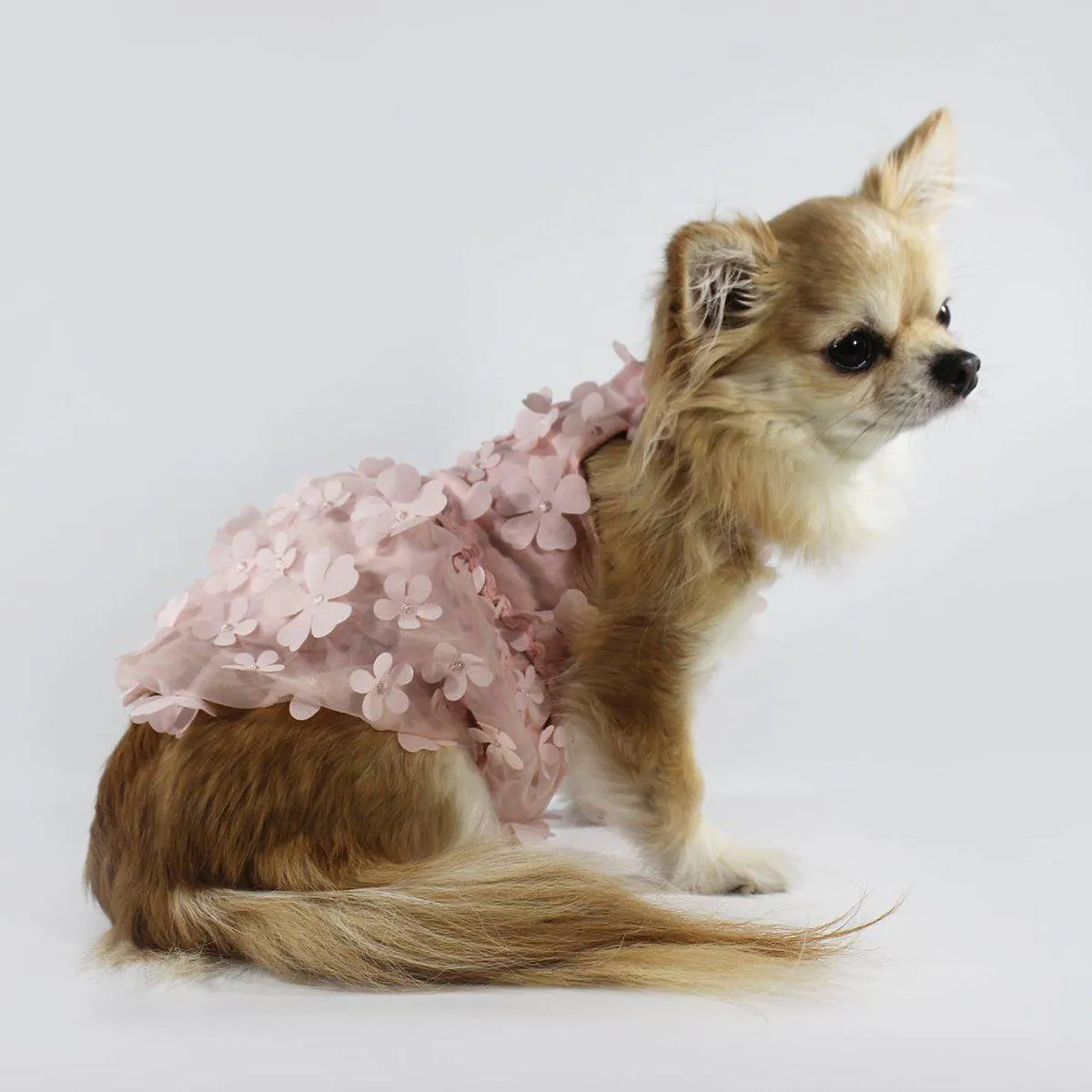 Flower Pink Dog Dress XSmall