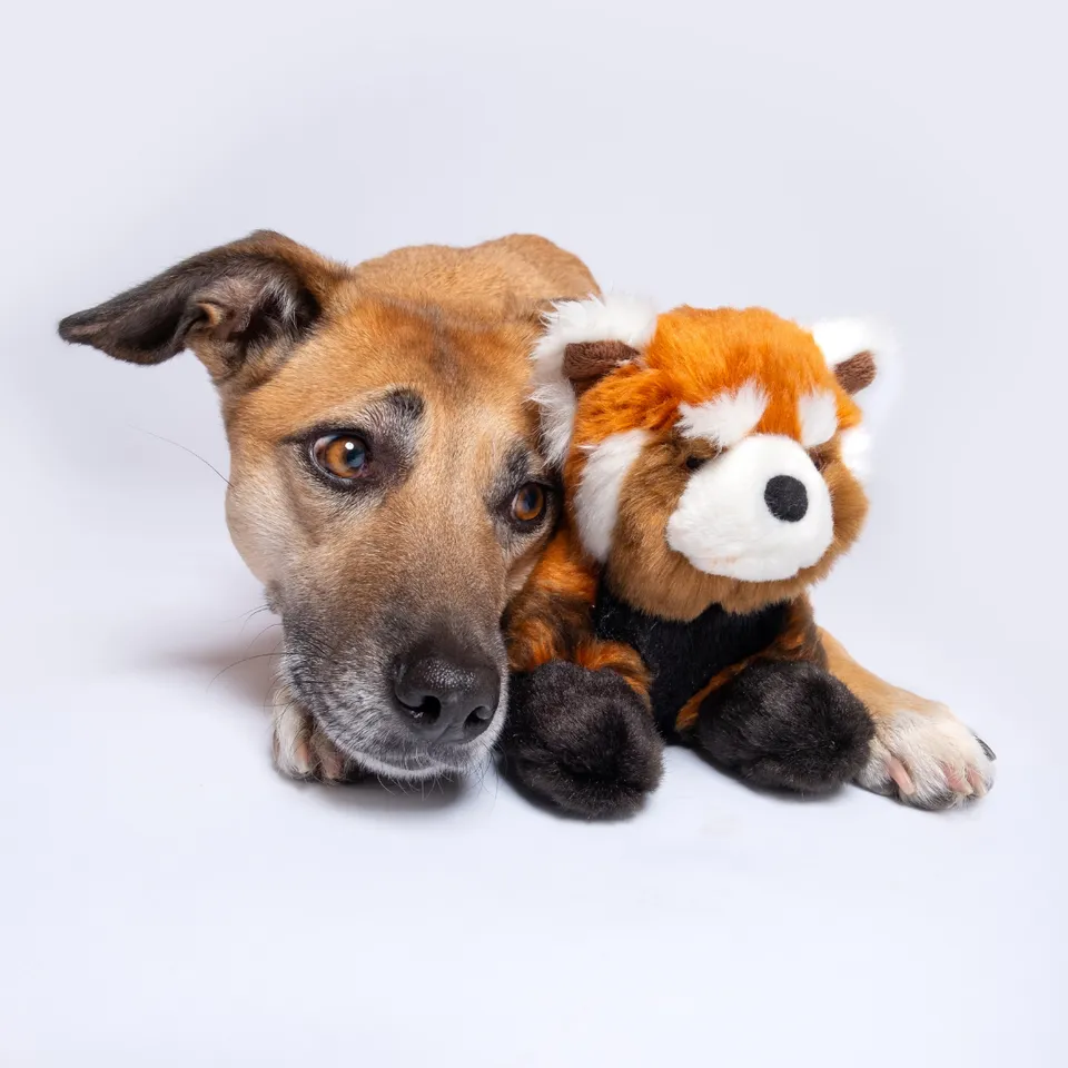 Fluff & Tuff Archie Red Panda Plush Dog Toy
