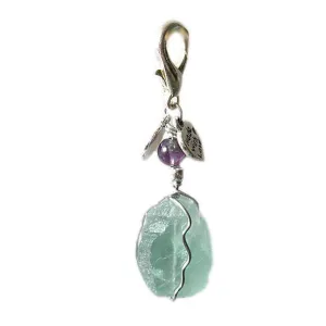 Fluorite Healing Dog Collar Charm Pawmulet