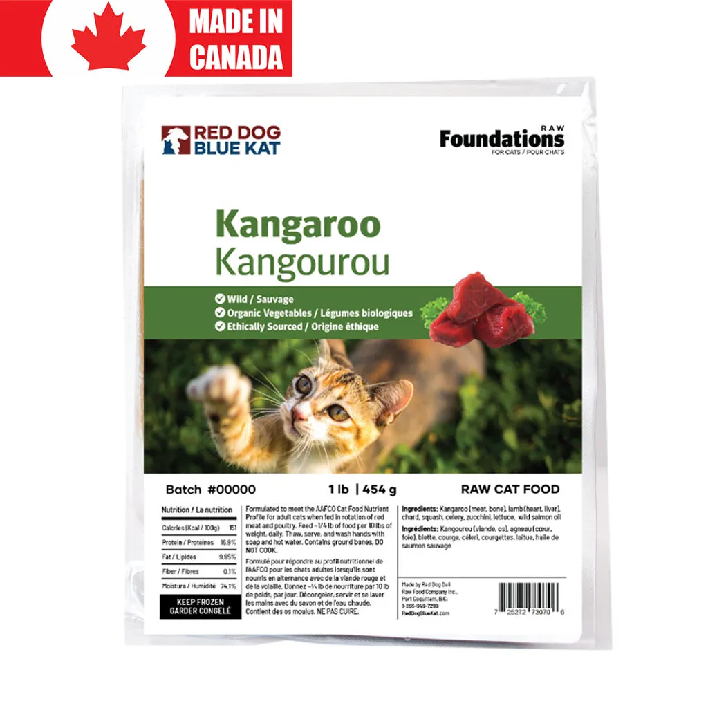 Foundations Cat Kangaroo