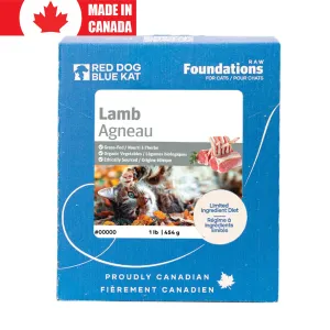 Foundations Cat Lamb
