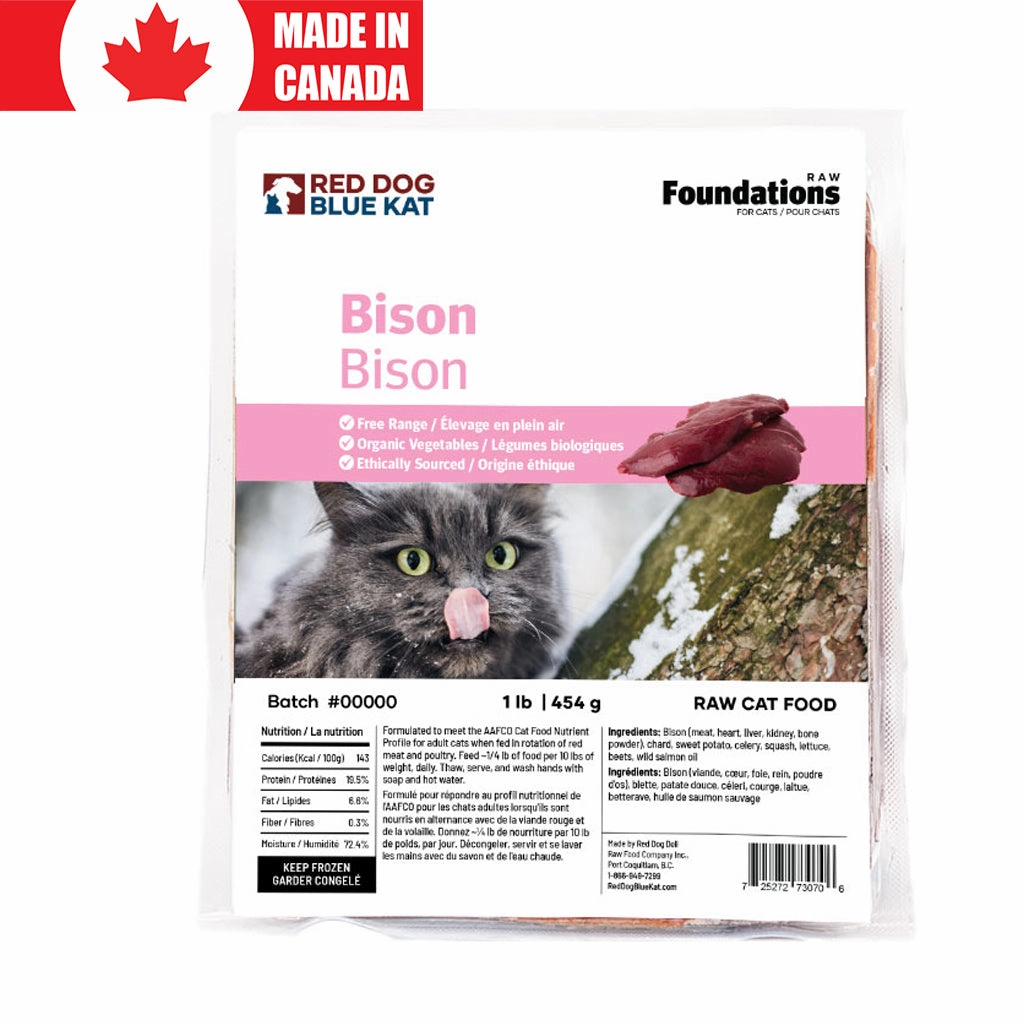 Foundations Cat Bison
