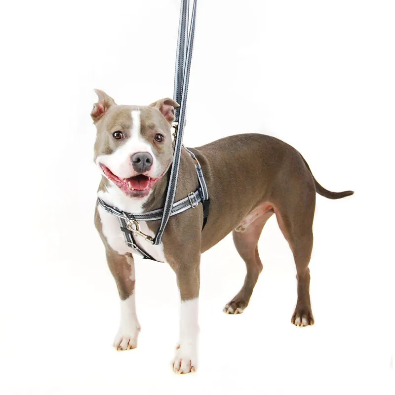 Freedom No Pull Harness