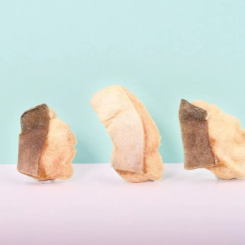 Freeze Dried Golden Pomfret Treats for Dogs and Cats