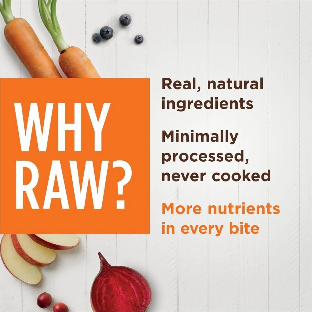 Freeze-Dried Chicken Raw Boost Shakers for Cats