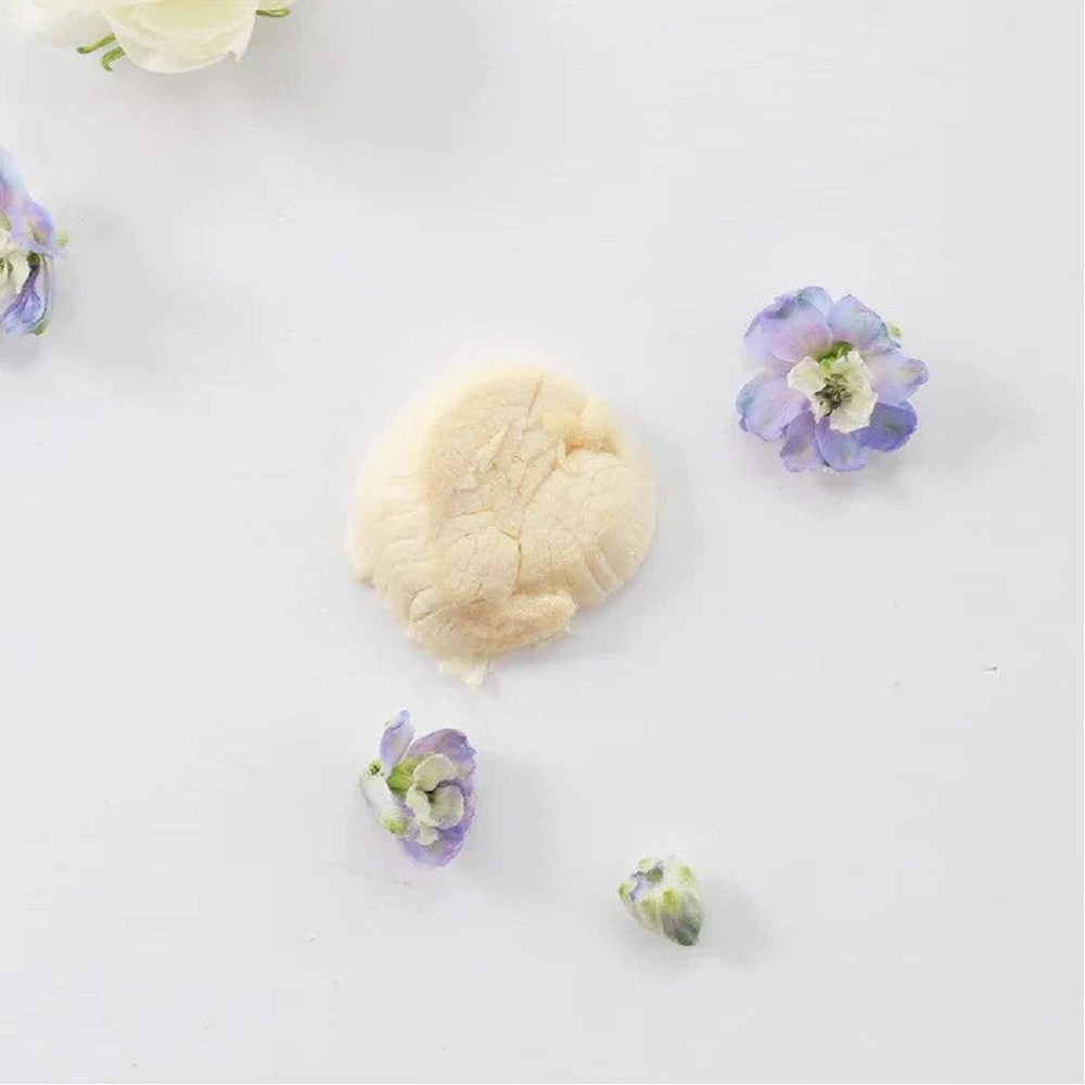 Freeze Dried Hokkaido Scallops Treats for Dogs and Cats