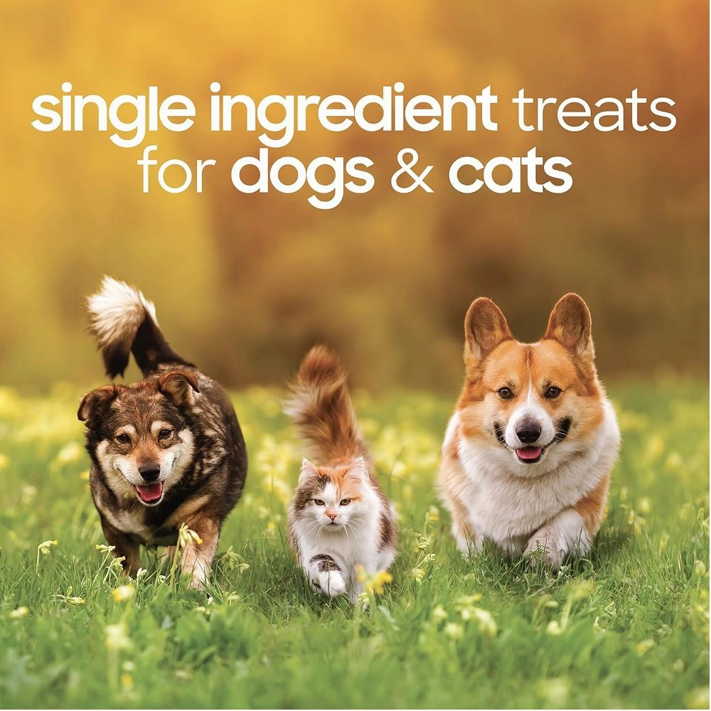 Freeze Dried Turkey Hearts Dog Treats