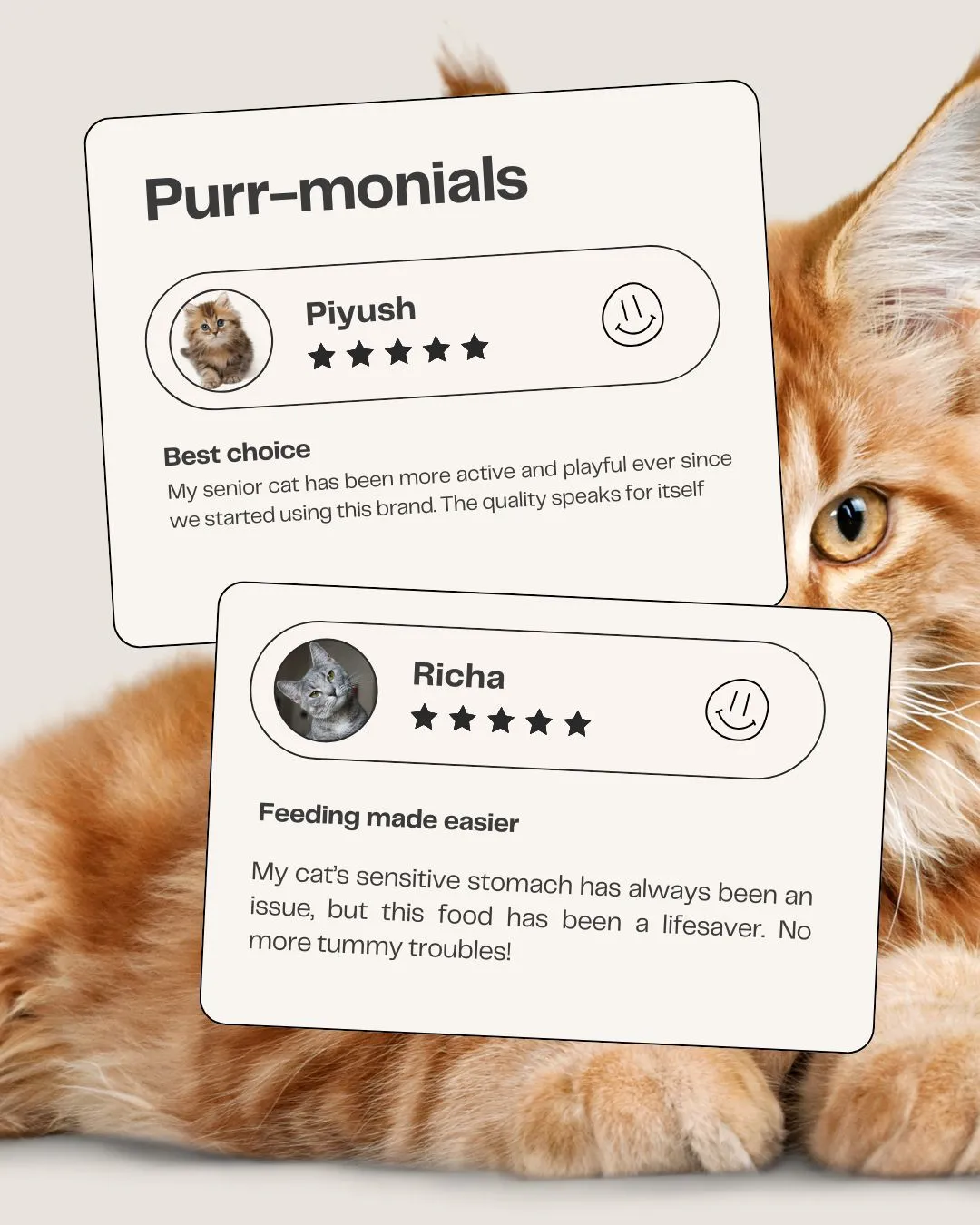 Fresh For Purrs Purrfect Chicken Delight Wet Food for Cats