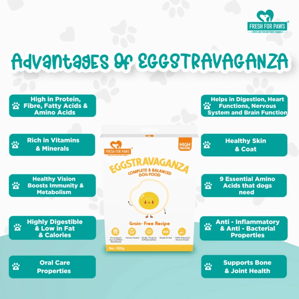 Fresh For Paws Eggstravaganza Dog Wet Food (100g)