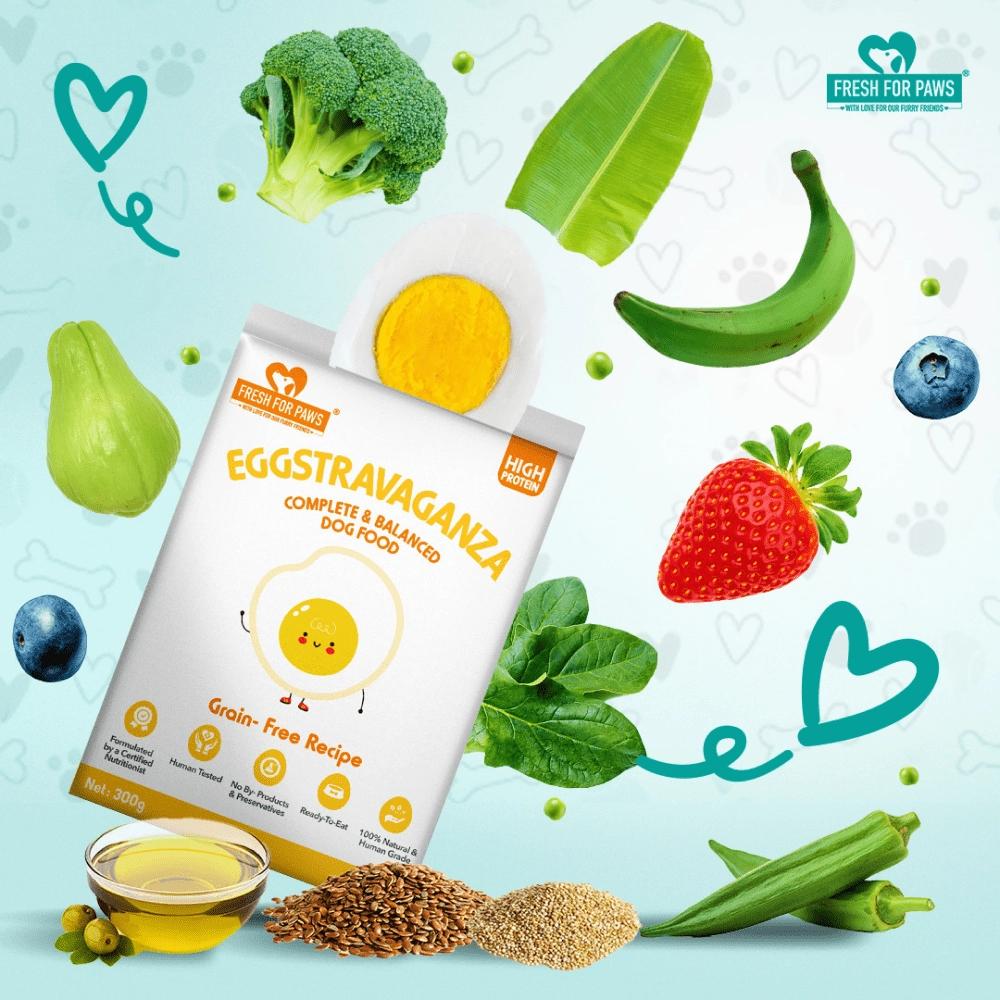 Fresh For Paws Eggstravaganza Dog Wet Food (100g)