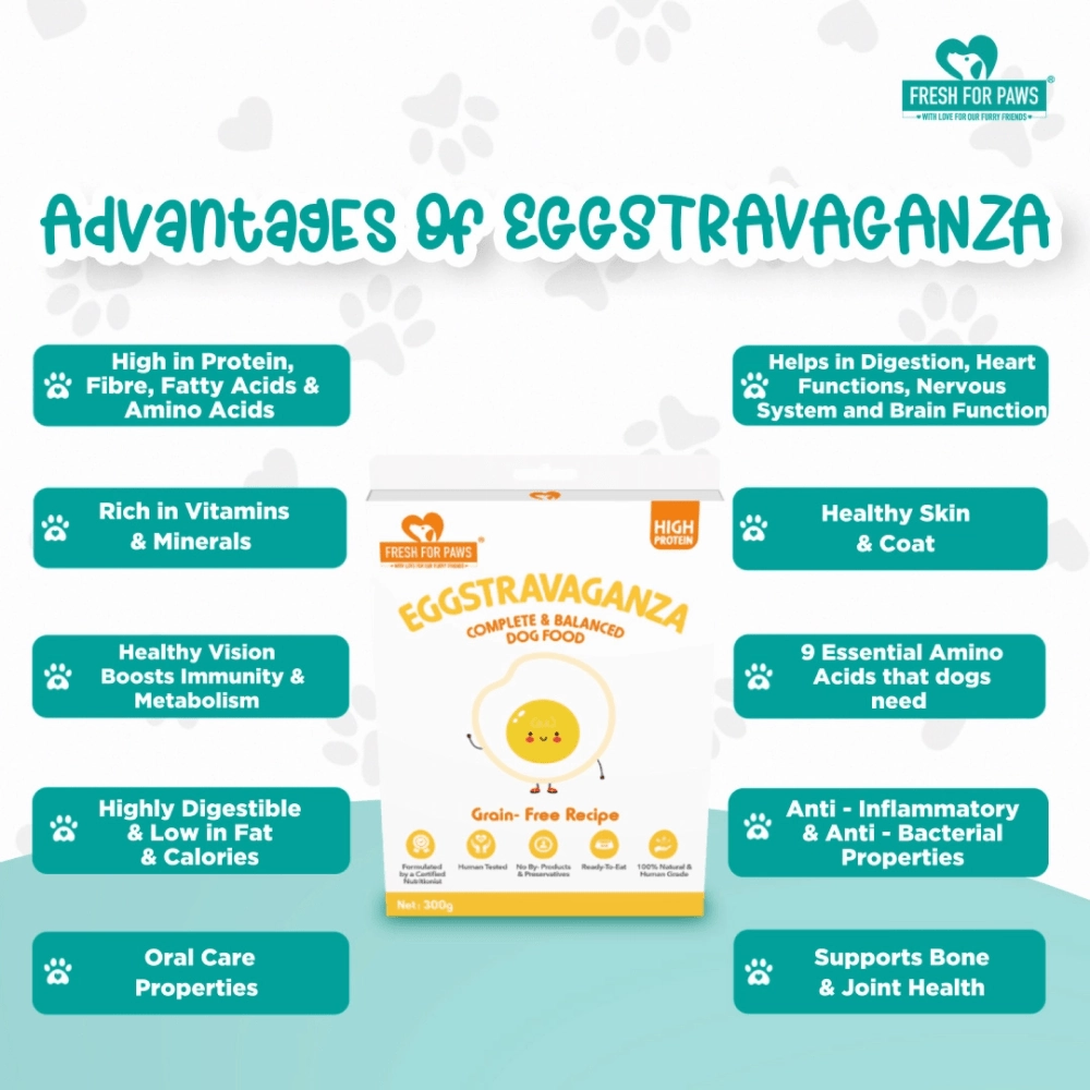 Fresh For Paws Eggstravaganza Dog Wet Food (300g)