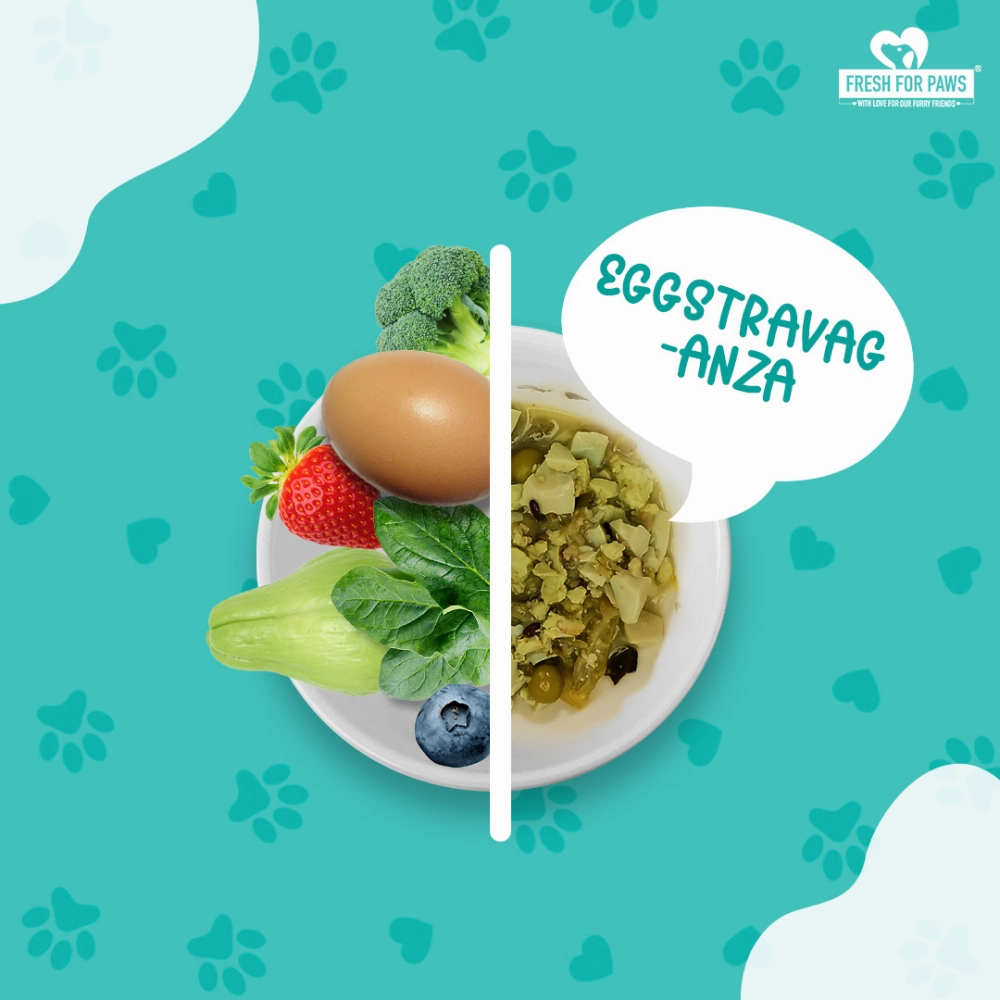 Fresh For Paws Eggstravaganza Dog Wet Food (300g)