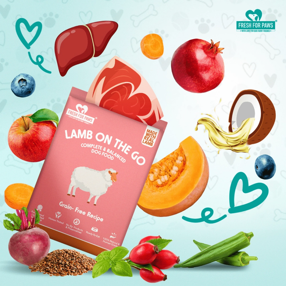 Fresh For Paws Lamb On The Go Dog Wet Food (100g)