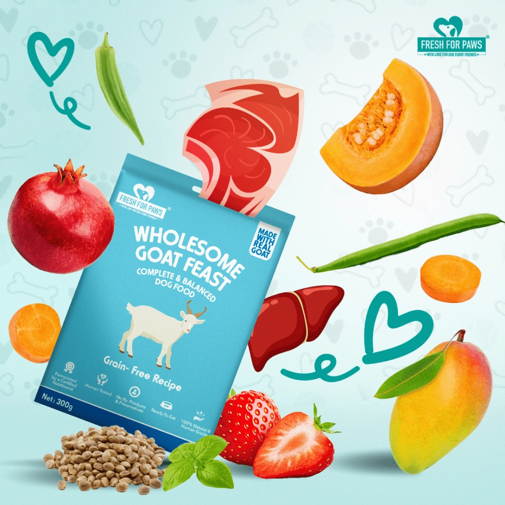 Fresh For Paws Wholesome Goat Feast Wet Food for Dogs (300g)