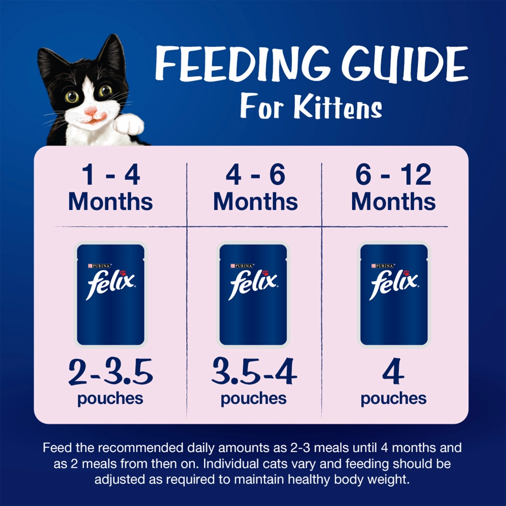Friskies Kitten Cat Dry Food and Purina Felix Tuna with Jelly Kitten Wet Food Combo
