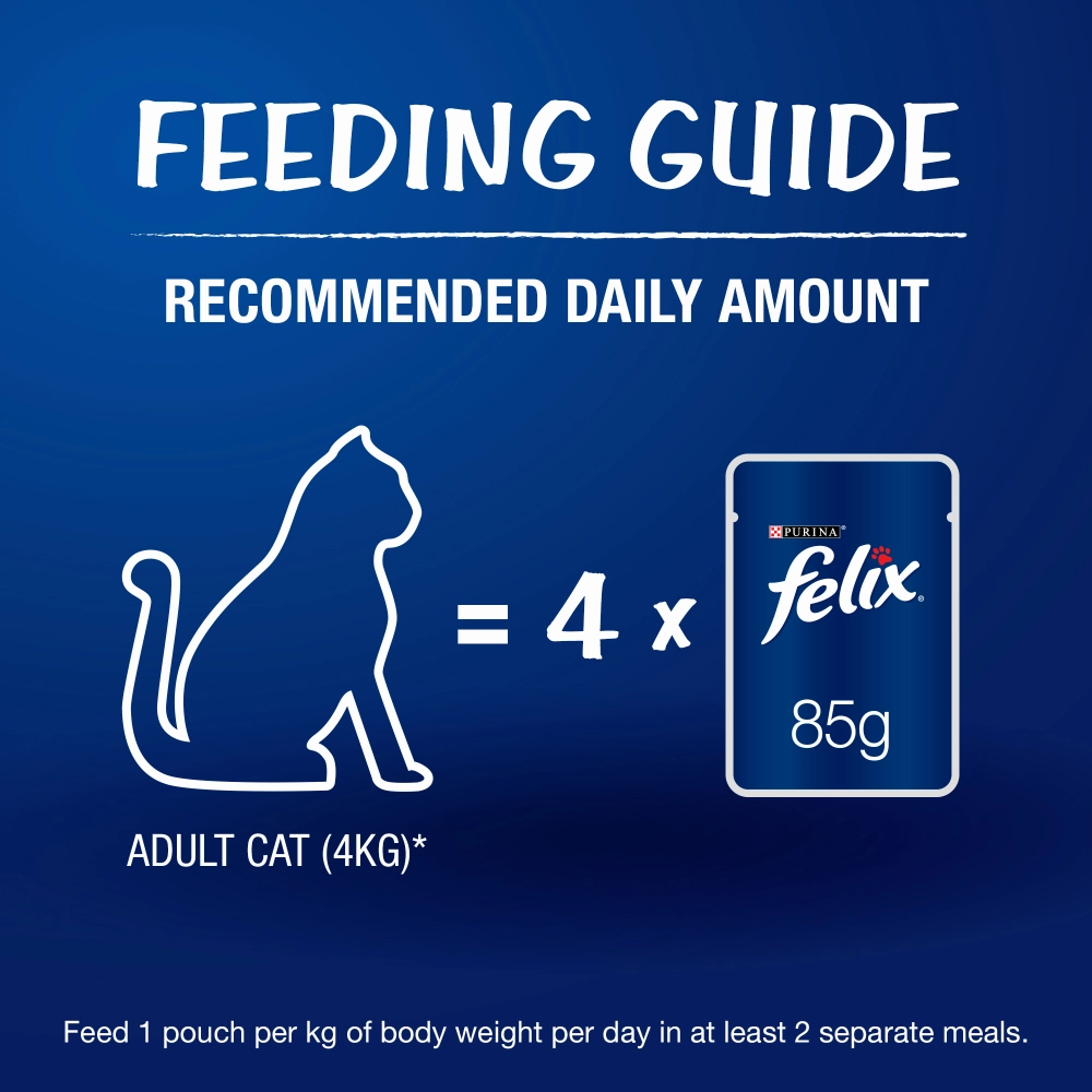 Friskies Seafood Cat Dry Food and Purina Felix Salmon with Jelly Adult Cat Wet Food Combo
