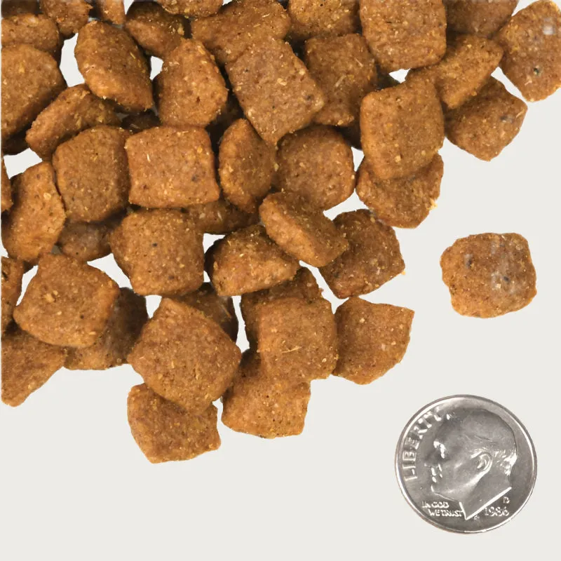 FROMM Four-Star Nutritionals Chicken  La Veg Recipe for Dogs