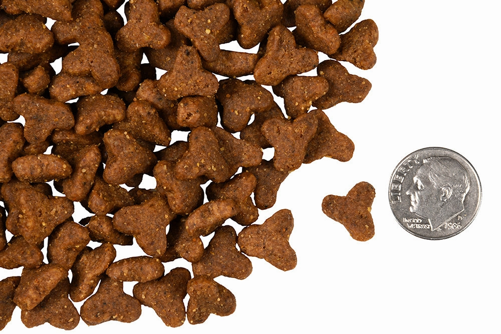 Fromm Four Star Grain Free Game Bird Recipe Dry Cat Food
