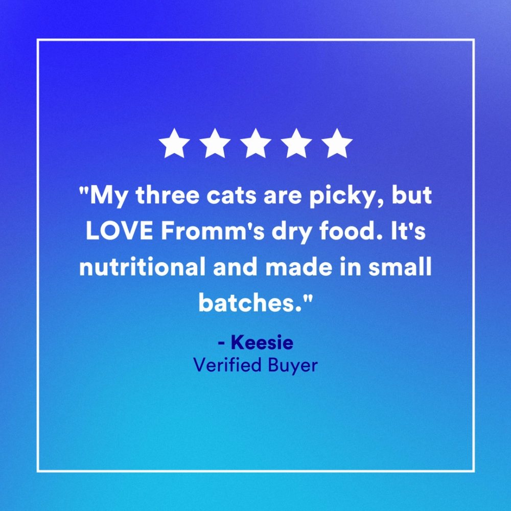 Fromm Four Star Grain Free Game Bird Recipe Dry Cat Food