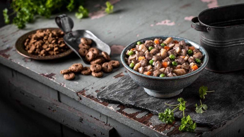 Fromm Frommbalaya Lamb, Vegetable, & Rice Stew Canned Dog Food