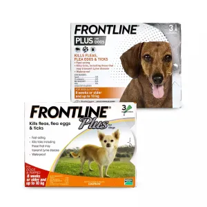 Frontline Plus