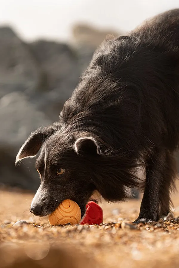 Frubba Balls Dog Toy