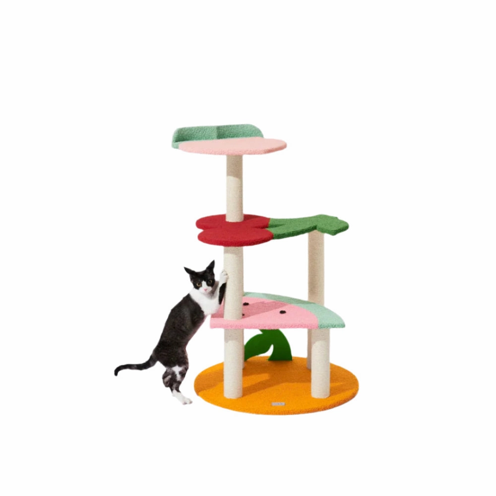 Fruit Frenzy Cat Climber