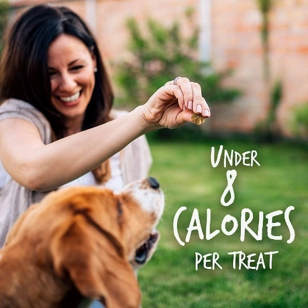 Fruitables Baked Pumpkin & Blueberry Dog Treats