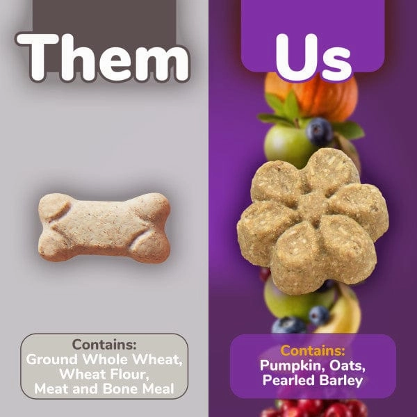 Fruitables Baked Pumpkin & Blueberry Dog Treats