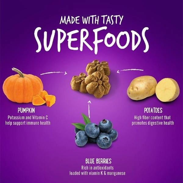 Fruitables Baked Pumpkin & Blueberry Dog Treats