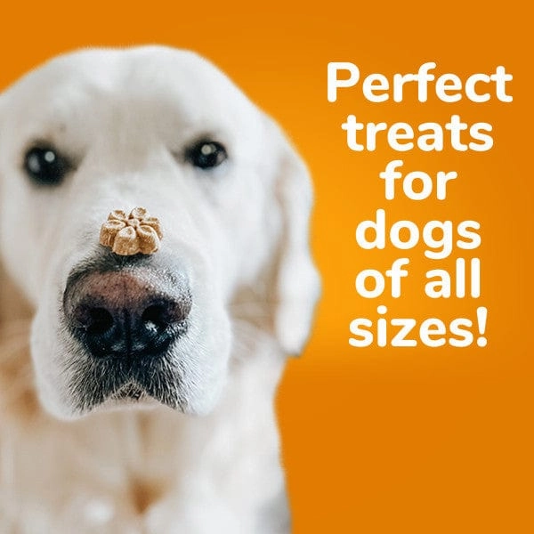 Fruitables Baked Sweet Potato & Pecan Dog Treats