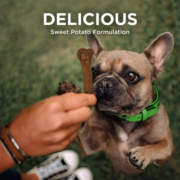 Fruitables Bioactive Fresh Mouth Dental Chews