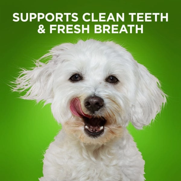 Fruitables Bioactive Fresh Mouth Dental Chews