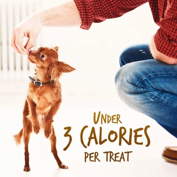 Fruitables Skinny Minis Rotisserie Chicken Dog Treats