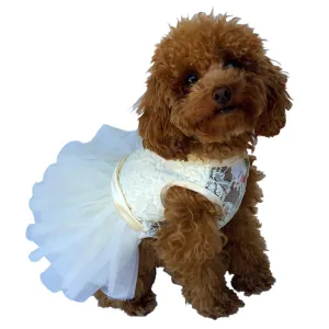 Fufu Tutu Lace Dog Dress Ivory