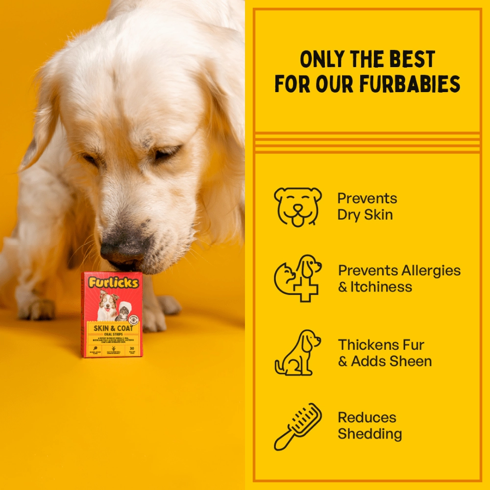 Furlicks Skin & Coat Supplement for Cats and Dogs