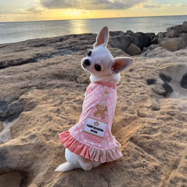 Furry Vuiton Champagne Peaches & Cream Bubbles Dog Dress