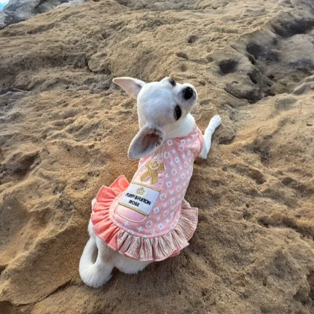 Furry Vuiton Champagne Peaches & Cream Bubbles Dog Dress
