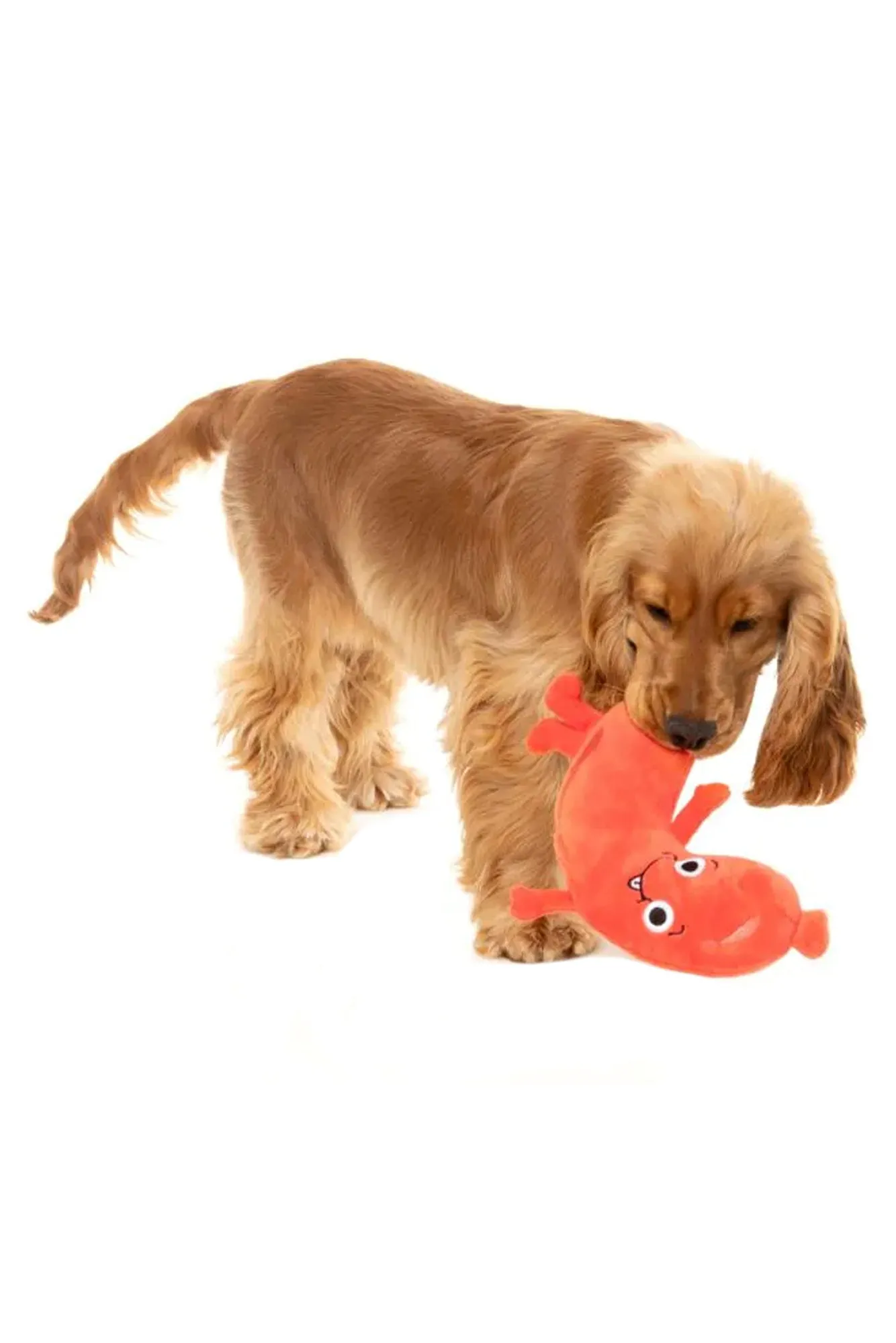FuzzYard Brad-Wurst Plush Dog Toy