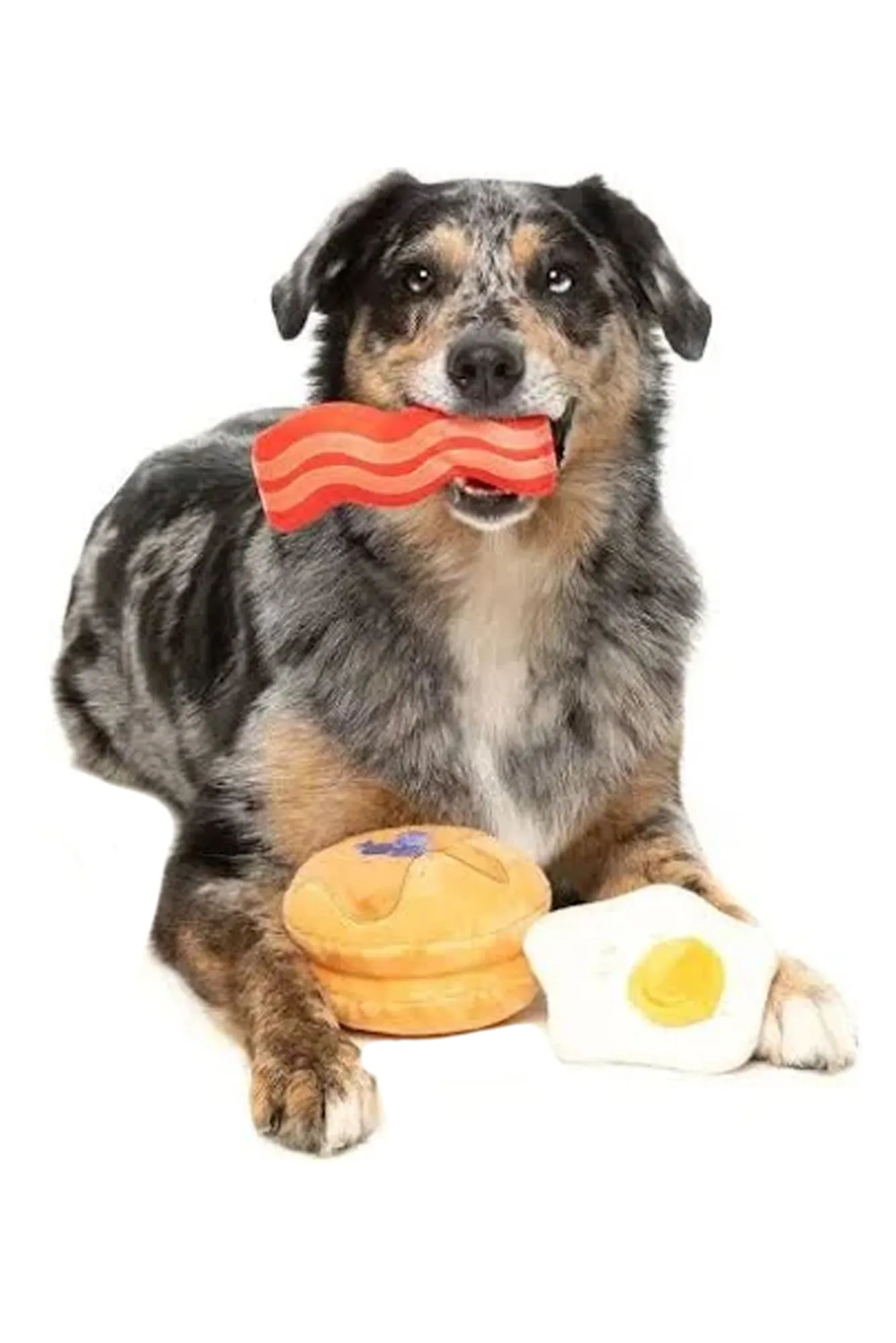 FuzzYard Dog's Breakfast Plush Dog Toy