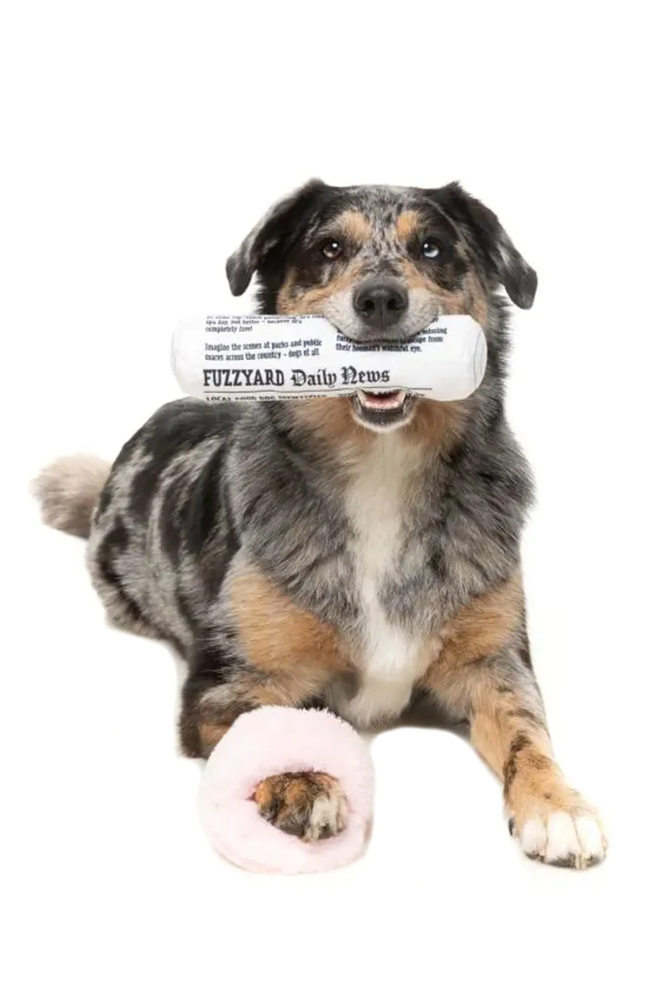 FuzzYard Fetch My Slippers and Paper Plush Dog Toy
