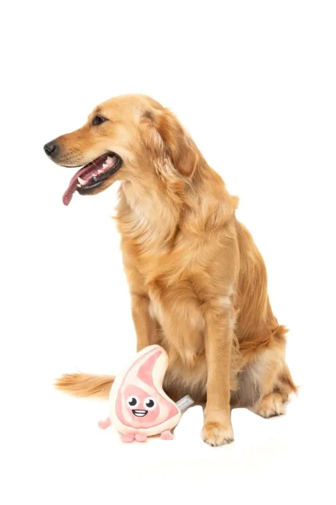 FuzzYard Piggy Smalls Plush Dog Toy
